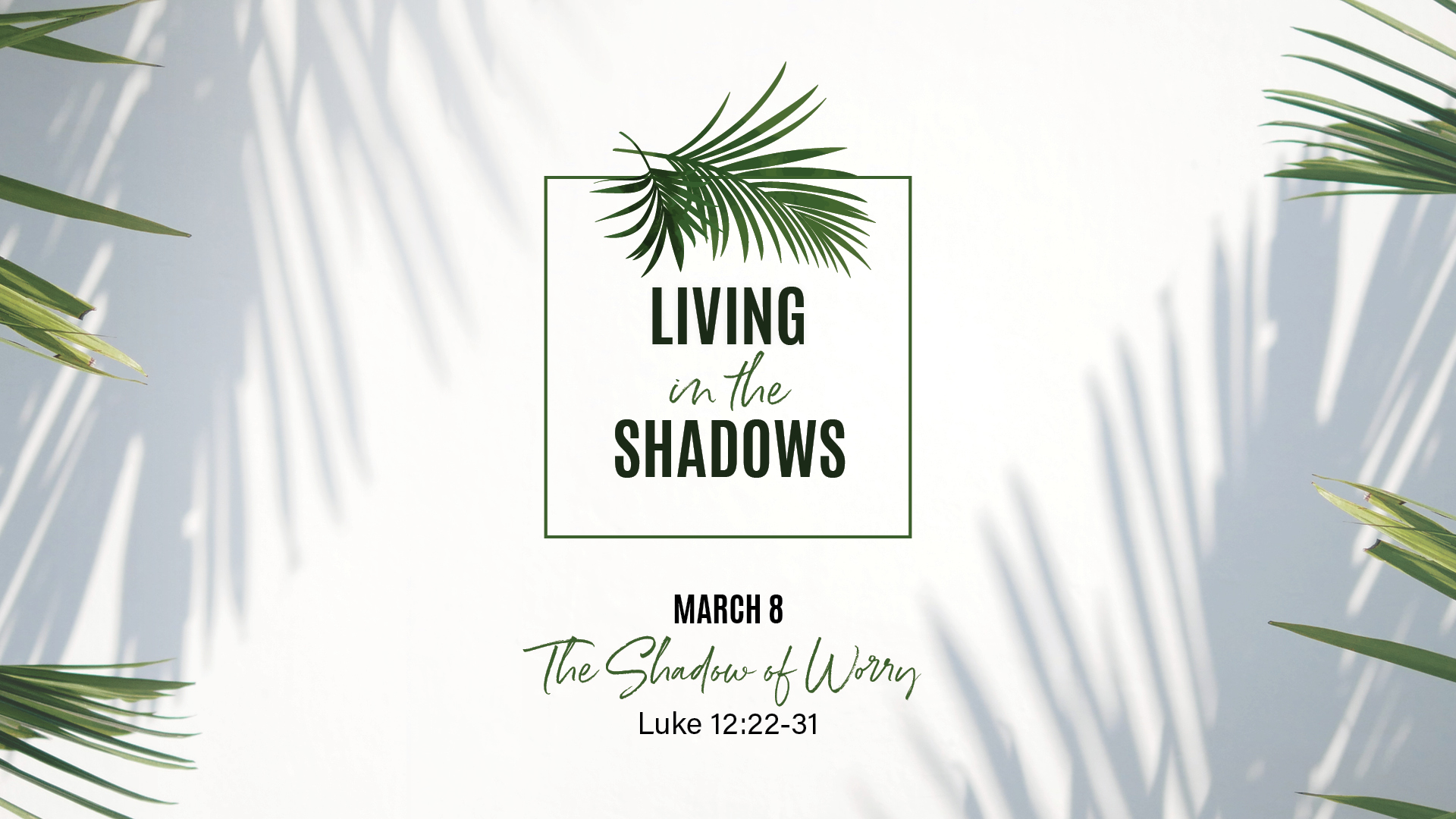 March 8 - The Shadow of Worry