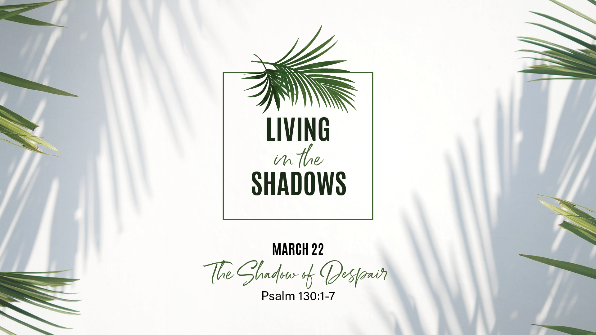 The Shadow of Despair