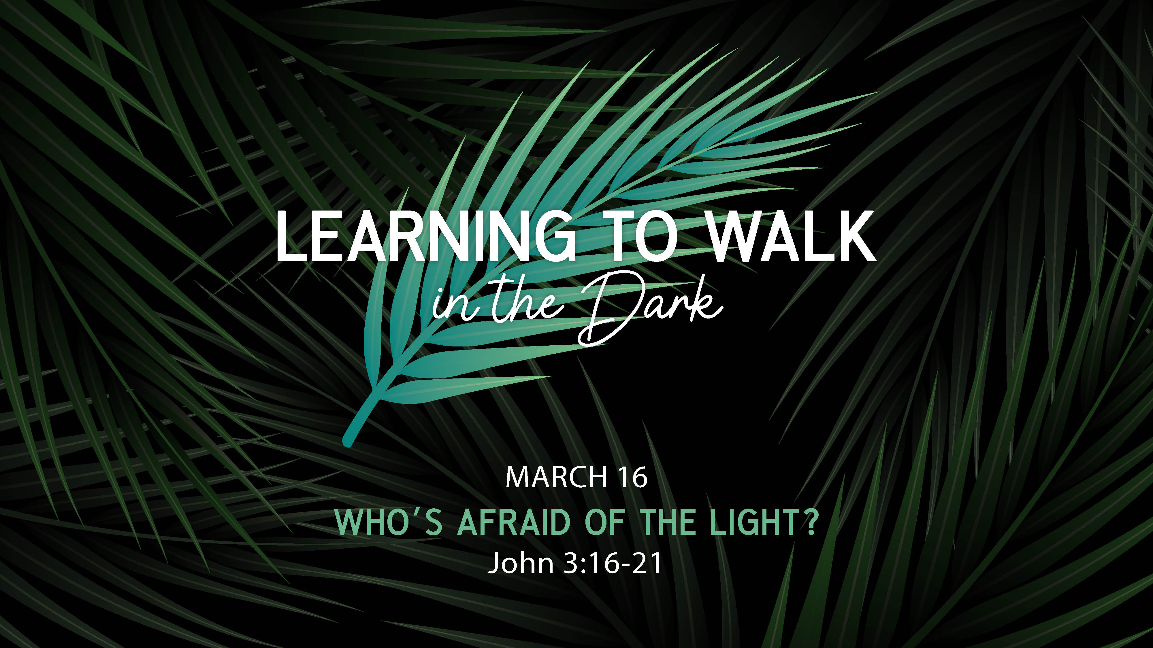 Who’s Afraid of the Light?